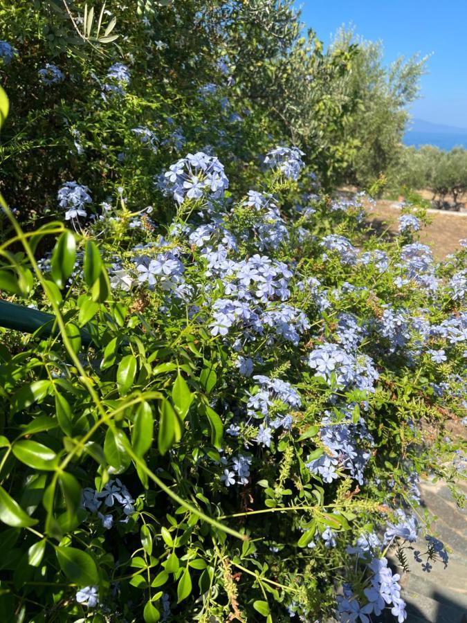 Villa Pefnos Agios Nikolaos  Buitenkant foto